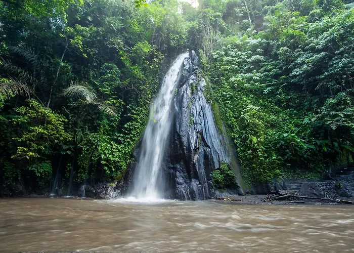 Buahan, A Banyan Tree Escape