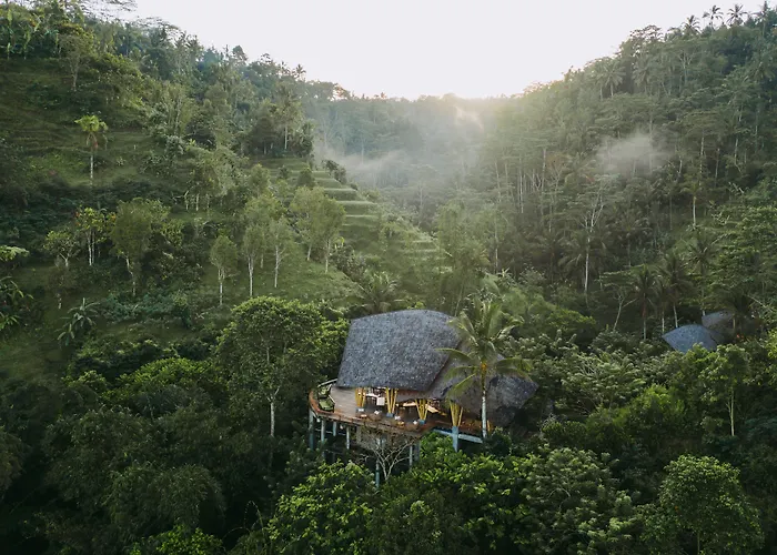 Buahan, A Banyan Tree Escape
